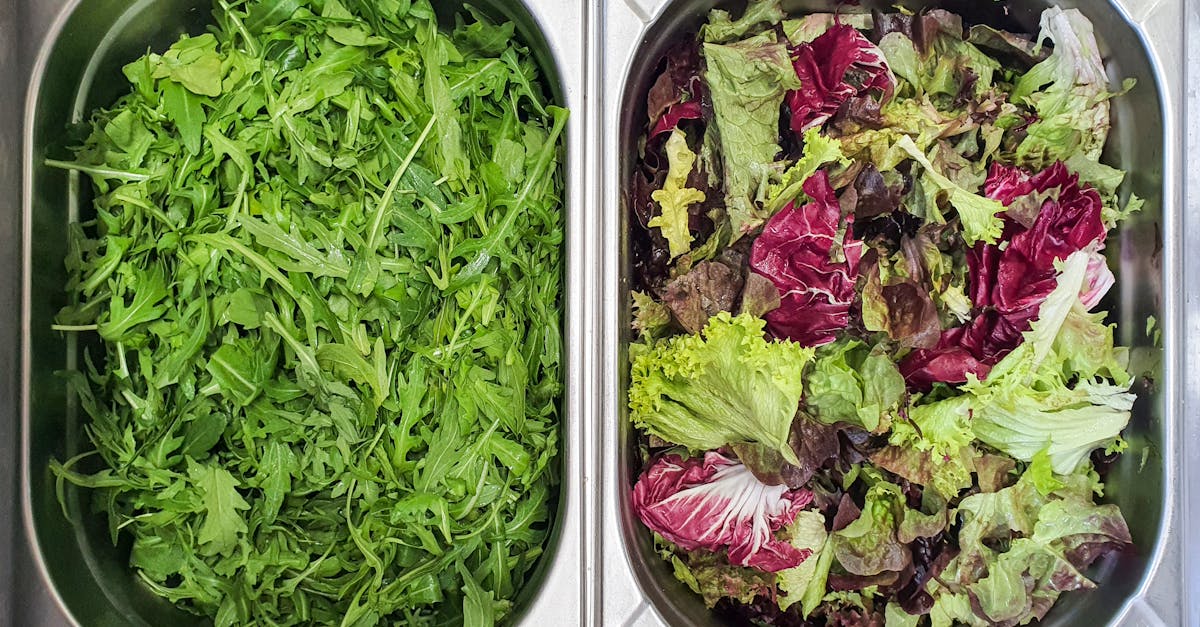 découvrez les bienfaits du magnésium, un minéral essentiel pour la santé, la gestion du stress, l'énergie et le bon fonctionnement des muscles et du système nerveux. conseils, sources alimentaires et recommandations d'apport.