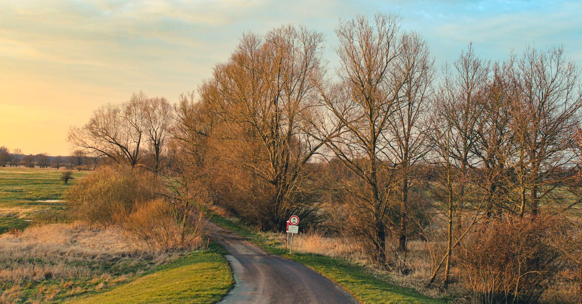 découvrez les modifications récentes des heures creuses et comprenez comment ces changements peuvent influencer vos habitudes de consommation et votre facture d'énergie.