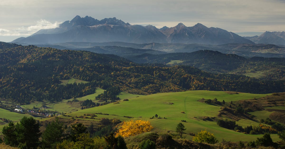 découvrez les derniers changements concernant les heures creuses et comment ils peuvent impacter votre consommation d'énergie. informez-vous sur les nouveaux horaires applicables et optimisez vos économies.