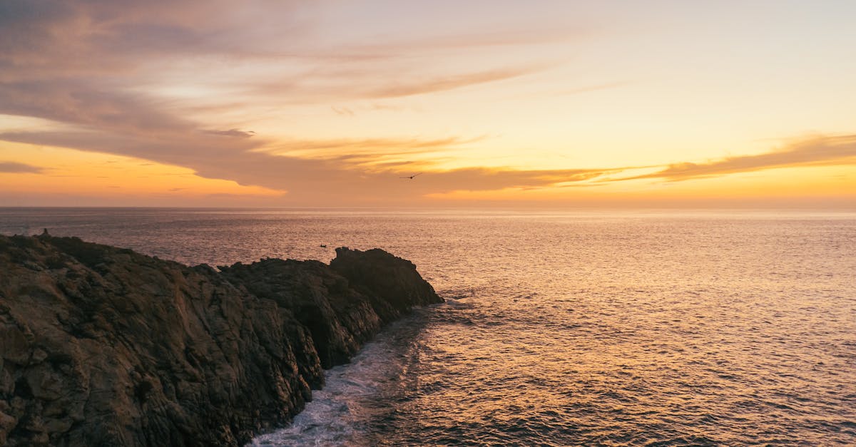 découvrez pacifica, l'assurance du groupe crédit agricole, proposant des solutions complètes pour protéger votre santé, votre habitation, votre véhicule et bien plus encore. obtenez un accompagnement personnalisé et des garanties sur-mesure adaptées à vos besoins.