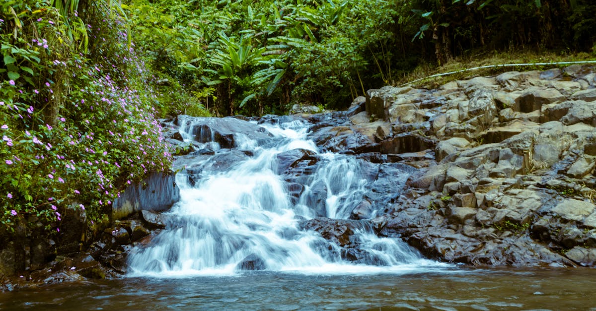 découvrez tout sur le streaming : actualités, plateformes, astuces et meilleurs conseils pour regarder vos films, séries, matchs et musiques en ligne. profitez d'une expérience de streaming optimale en toute légalité !