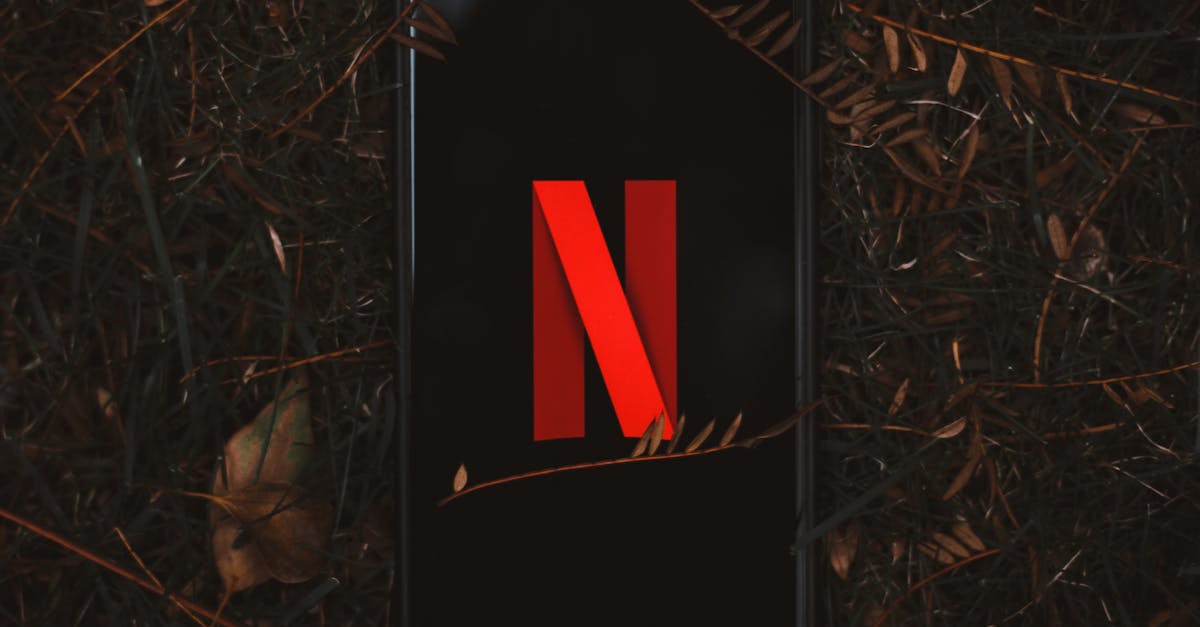 découvrez notre service d’abonnement flexible : profitez de contenus exclusifs, d’offres personnalisées et d’une gestion simple et rapide de votre abonnement en ligne.