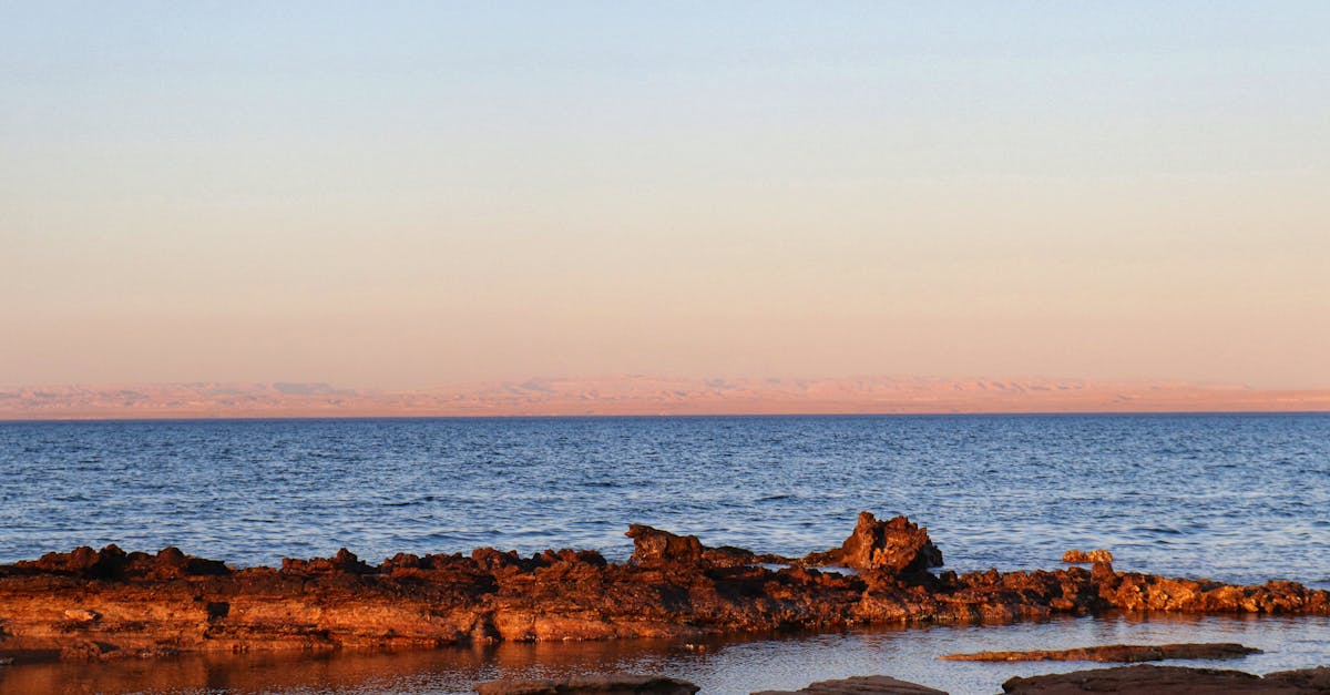 découvrez les services de suez, leader mondial dans la gestion de l'eau et des déchets, engagé pour un avenir durable et l'économie circulaire. solutions innovantes pour collectivités et entreprises.