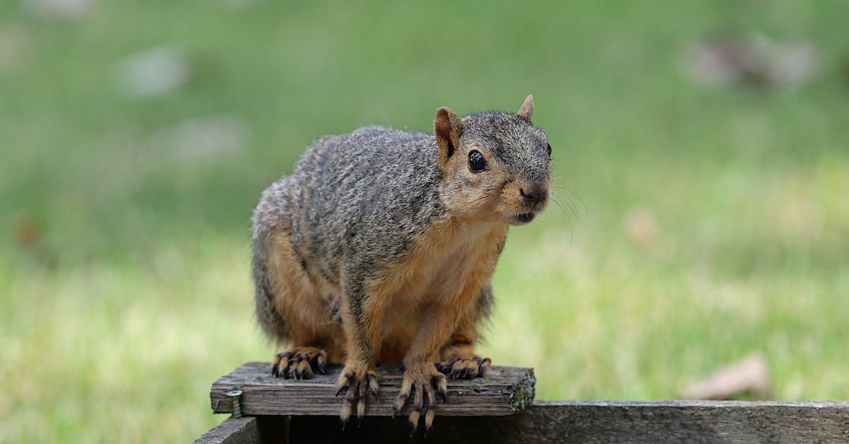 trouvez facilement tous les contacts de veolia : service client, assistance, réclamations et informations utiles pour particuliers et professionnels.