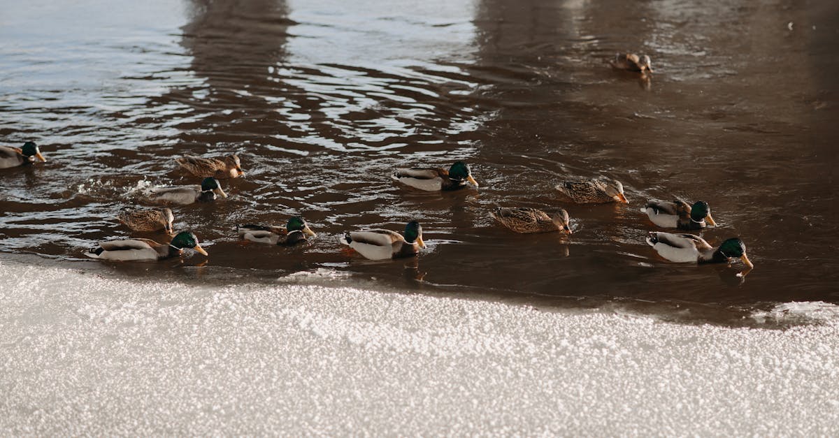 découvrez tout ce qu'il faut savoir sur la facture d'eau : comment elle est calculée, les éléments à vérifier, et nos conseils pour réduire vos dépenses d'eau au quotidien.