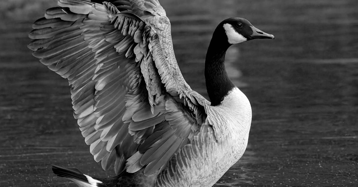 comprenez votre facture d'eau : décryptage des éléments, conseils pour réduire votre consommation et astuces pour maîtriser vos dépenses d'eau au quotidien.