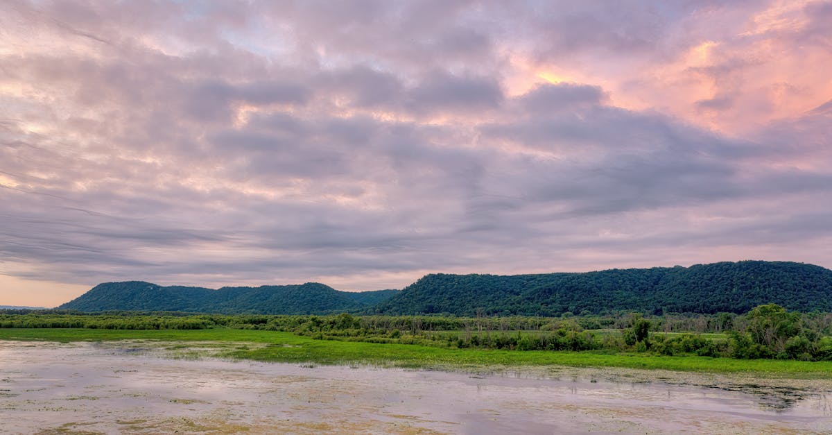 découvrez tout ce qu'il faut savoir sur le coût de l'eau : facteurs influençant le prix, comparaison des tarifs selon les régions et astuces pour économiser sur votre facture d'eau.