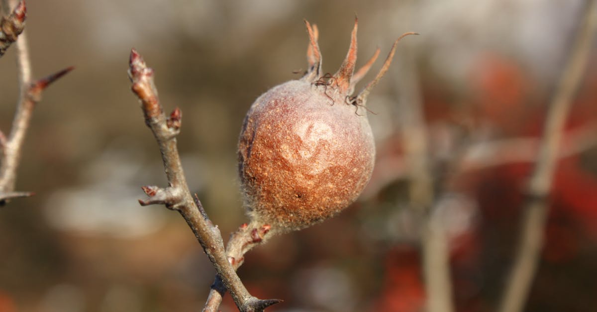 trouvez les meilleurs fournisseurs de pellets de bois pour chauffage, livraison rapide et produits de qualité supérieure. comparez les prix et services des spécialistes en granulés de bois près de chez vous.