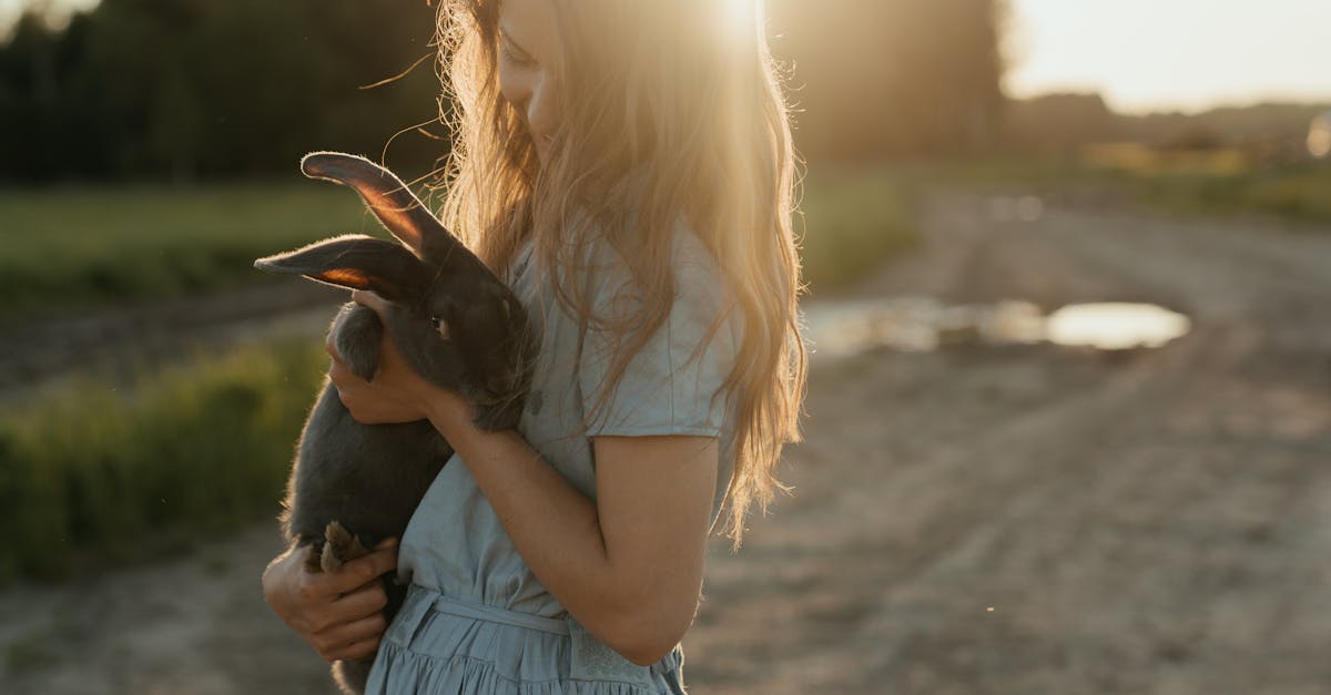 découvrez altice, un groupe international spécialisé dans les télécoms, les médias et les contenus, offrant des services innovants en france et à l'étranger pour particuliers et entreprises.