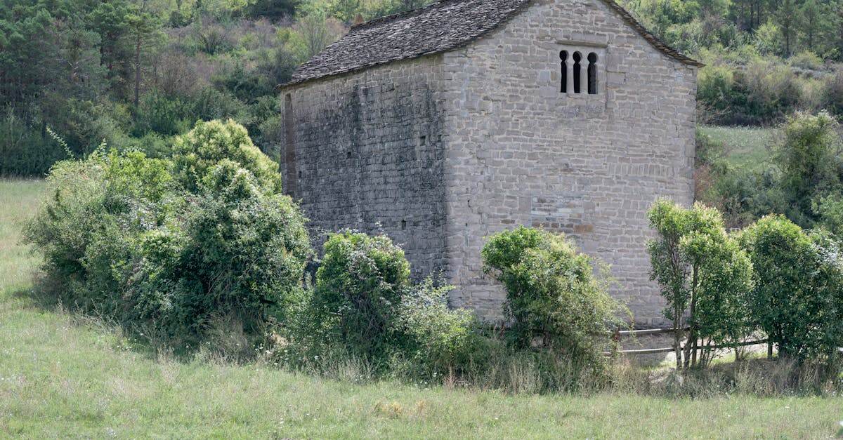 découvrez tout sur le phénomène d'apagón : causes, conséquences et conseils pour bien réagir face à une panne d’électricité, que ce soit à la maison ou au travail.