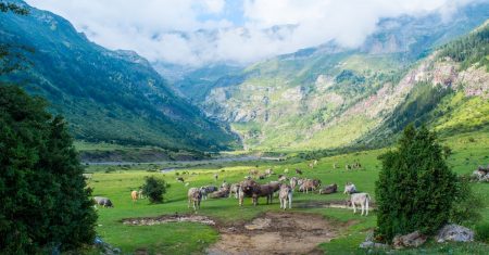 découvrez tout sur l'apagón : causes, conséquences et solutions pour faire face à une coupure d'électricité. conseils pratiques et explications pour mieux comprendre ce phénomène.