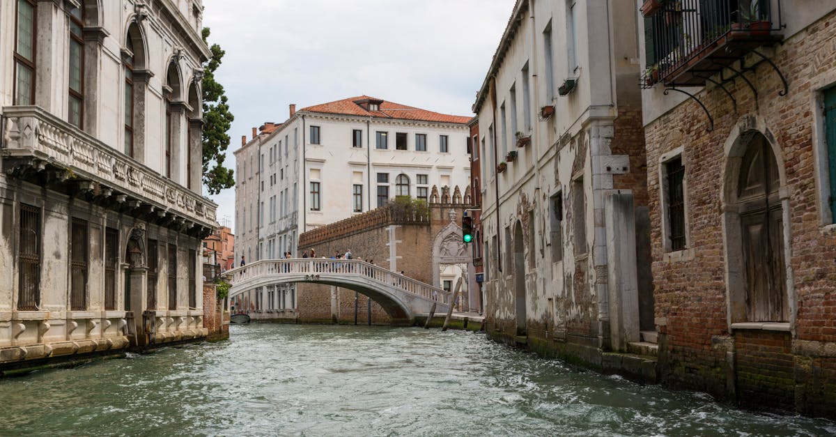 découvrez canal plus, la chaîne incontournable pour profiter des meilleurs films, séries, sports et documentaires en exclusivité. accédez à une offre de divertissement riche et variée, adaptée à toute la famille.