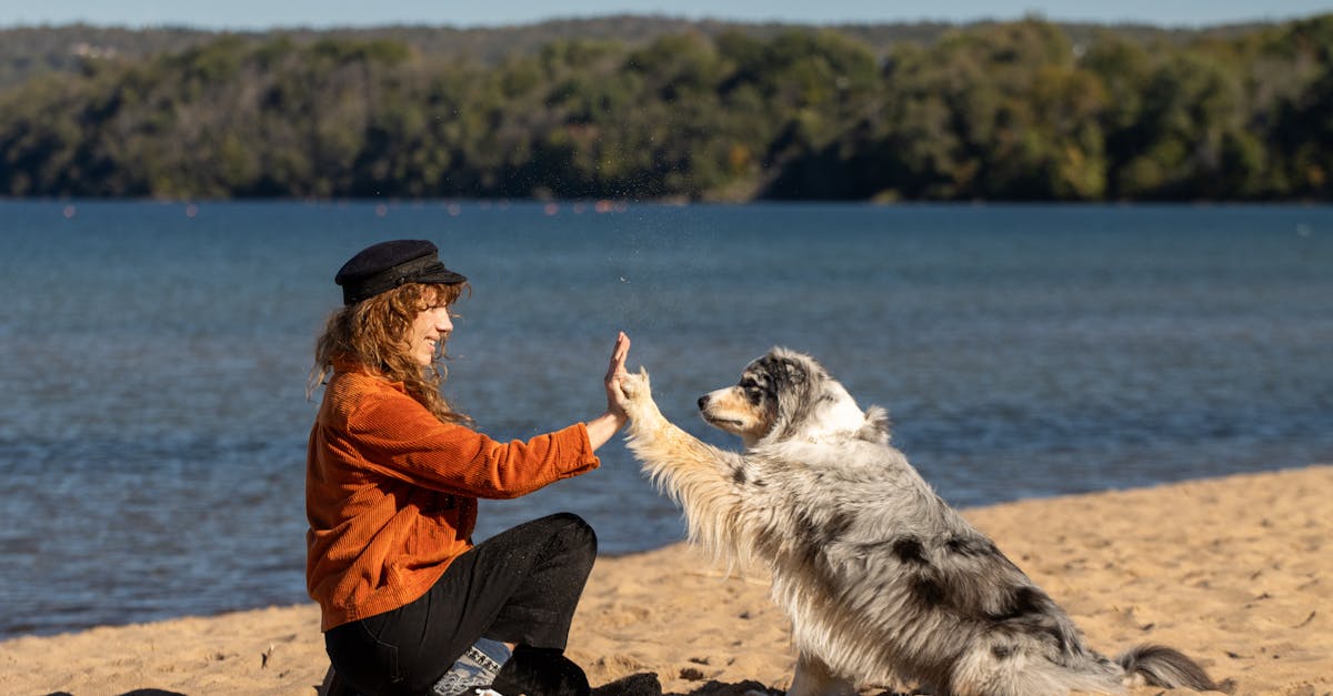 découvrez tout ce qu'il faut savoir sur le dpe 2025 : nouvelles réglementations, impact sur la vente et la location des logements, conseils pour améliorer la performance énergétique de votre bien immobilier.