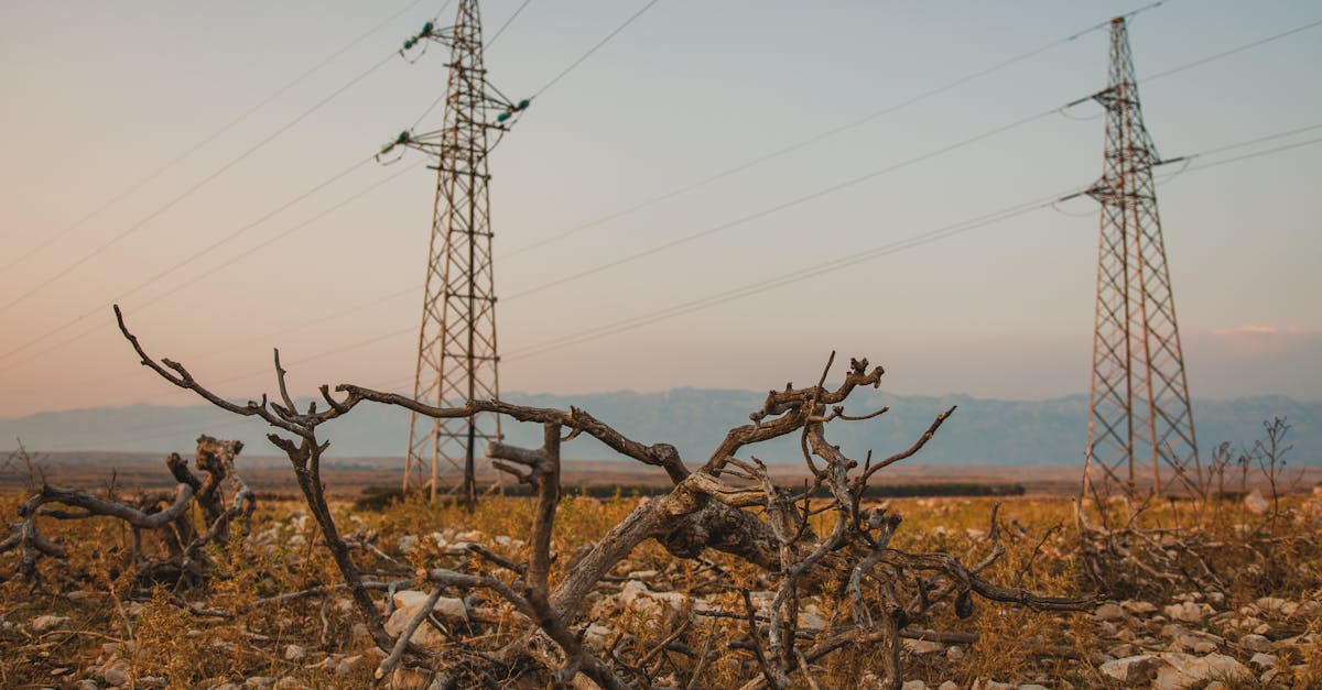 découvrez tout ce qu'il faut savoir sur les prix de l'électricité : facteurs d'évolution, comparatifs, conseils pour réduire votre facture et actualités du marché de l'énergie en france.