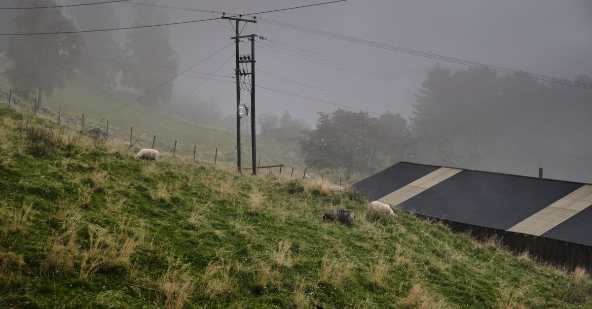découvrez les dernières tendances et informations sur les prix de l'électricité en france : comparatifs, conseils pour économiser et analyses du marché de l'énergie.