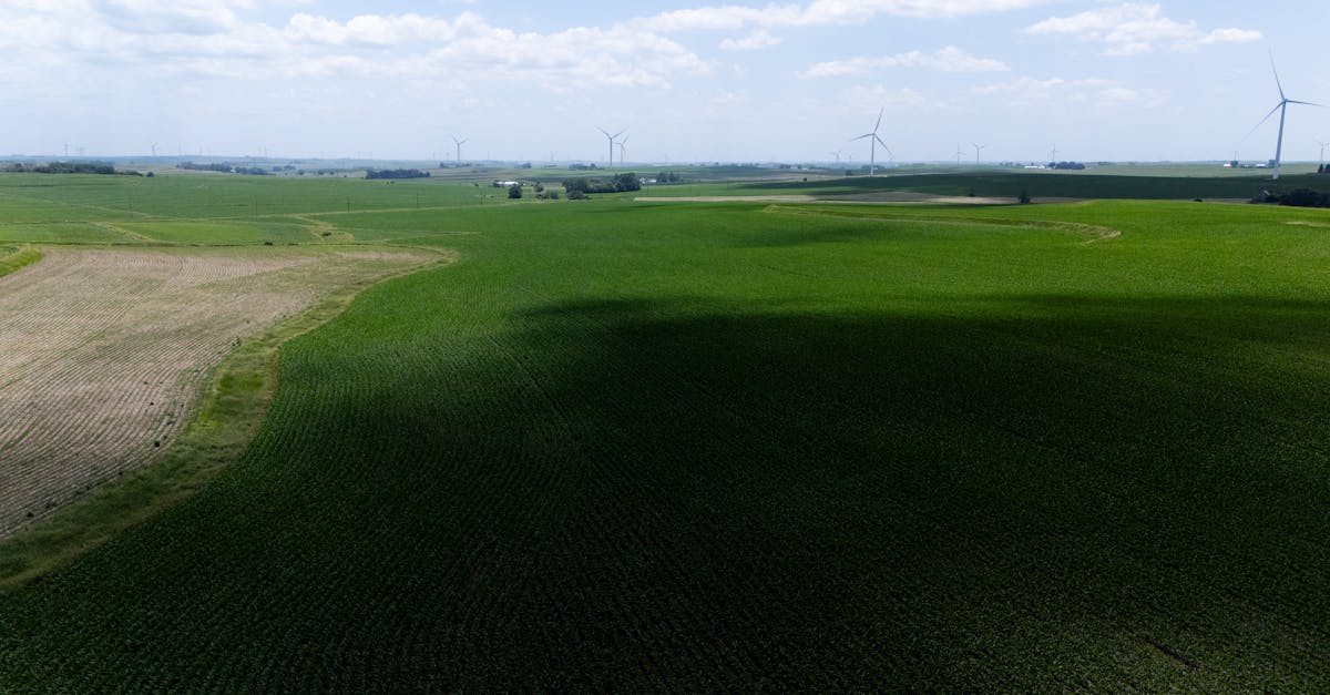 découvrez les dernières informations sur les prix de l'électricité en france : évolution des tarifs, comparaisons, facteurs d'influence et conseils pour économiser sur votre facture d'énergie.