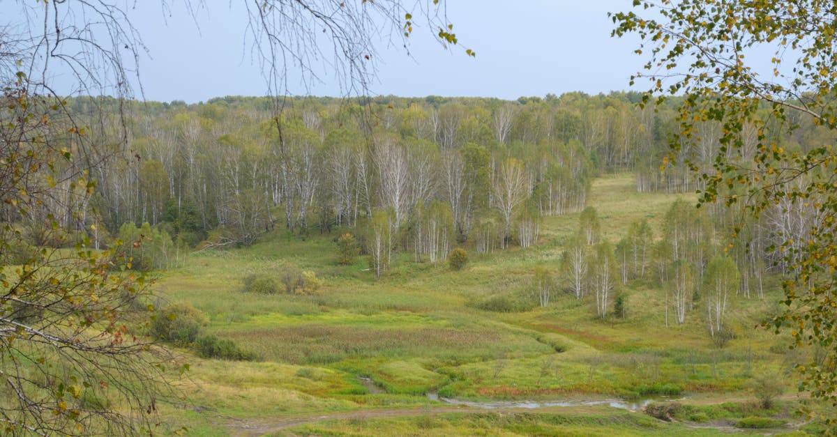 trouvez un logement gratuit partout dans le monde : astuces, plateformes d’échange, hébergement chez l’habitant et conseils pour profiter du voyage sans frais d’hébergement.