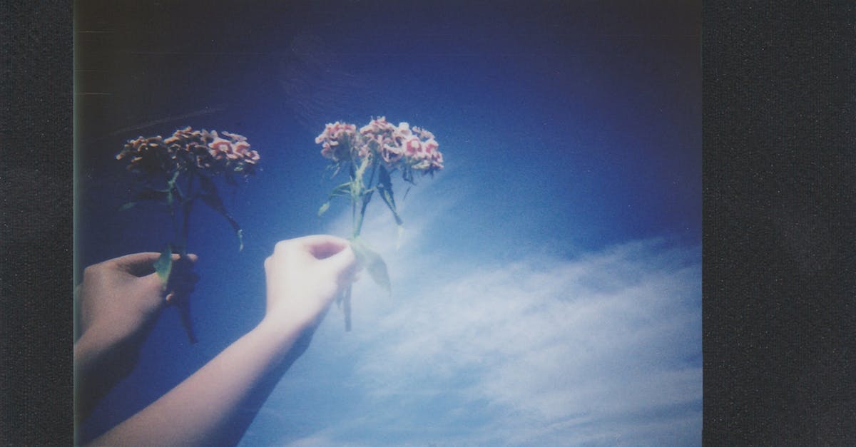 obtenez un prêt instantané en ligne, sans démarche compliquée. simulation rapide, réponse immédiate et transfert d'argent direct sur votre compte. simple, sécurisé et sans engagement.