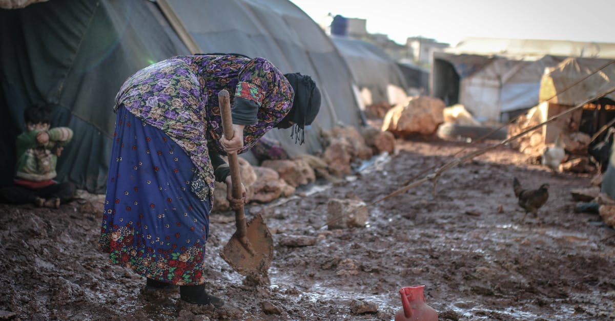 découvrez le rôle et les missions des agences régionales : accompagnement des entreprises, développement territorial et mise en œuvre des politiques publiques au plus près des citoyens.