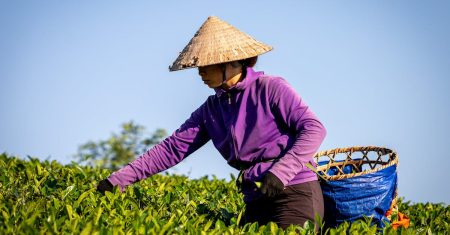 découvrez le rôle et les services des agences régionales : leur mission, leur fonctionnement et comment elles contribuent au développement local dans différents secteurs.