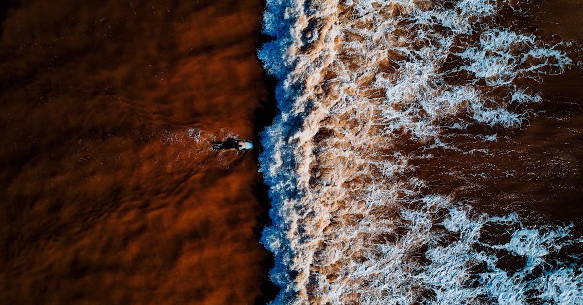 découvrez toute l’actualité sportive sur notre chaîne : résultats en direct, analyses, interviews exclusives et reportages sur vos sports préférés. restez informé et vibrez au rythme du sport !