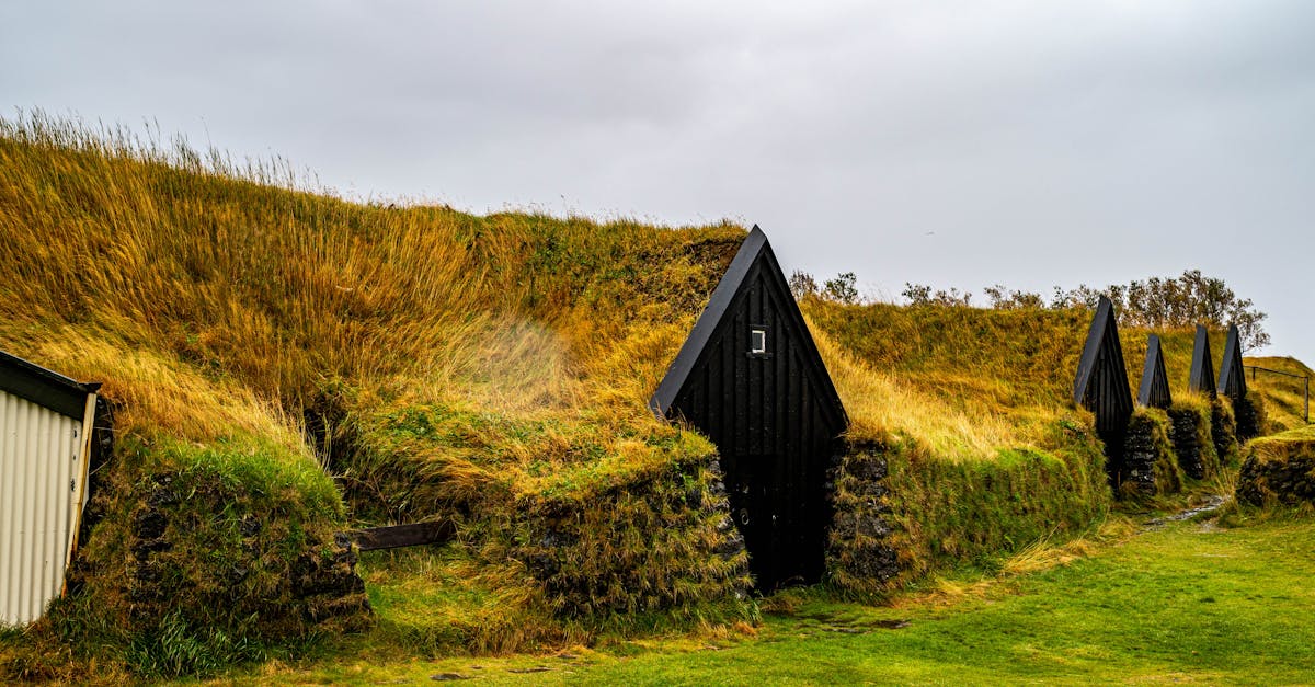 découvrez tout sur la svod : définition, avantages, fonctionnement et comparatif des principales plateformes pour choisir le service de streaming vidéo à la demande qui vous convient.