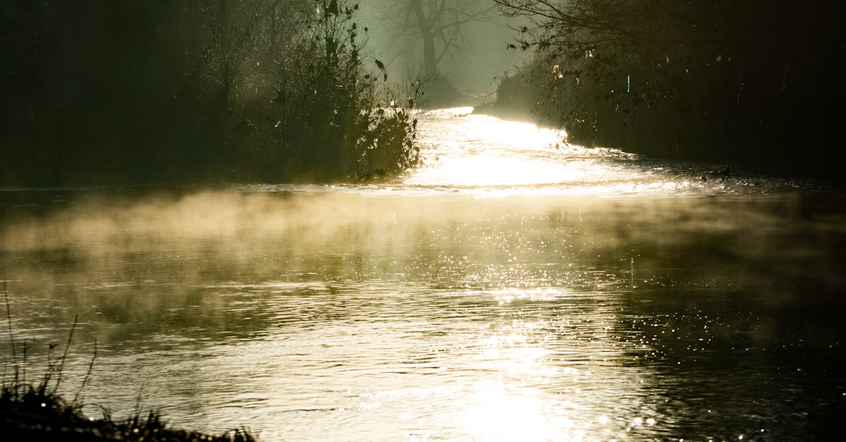 découvrez le chauffe-eau thermodynamique, une solution économique et écologique pour produire de l'eau chaude sanitaire grâce à l'énergie renouvelable de l'air. économisez sur votre facture d'énergie tout en réduisant votre empreinte carbone.