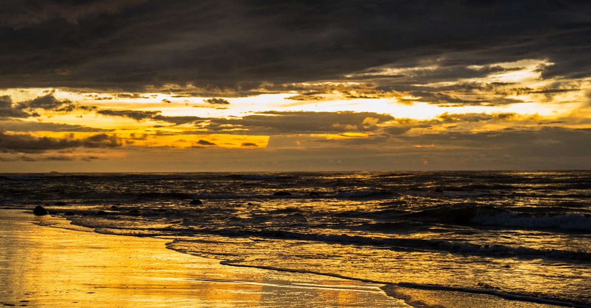 découvrez comment la tarification de l’eau influence la gestion durable des ressources, optimise la consommation et contribue à la préservation de l’environnement. comprenez les enjeux et les méthodes de fixation des prix de l’eau.