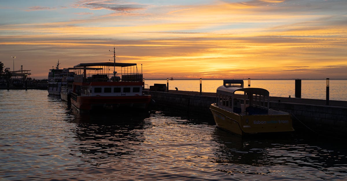 découvrez comment la tarification de l’eau influence la consommation, la gestion durable des ressources et les politiques publiques. conseils et explications sur les différents modèles de prix de l’eau.