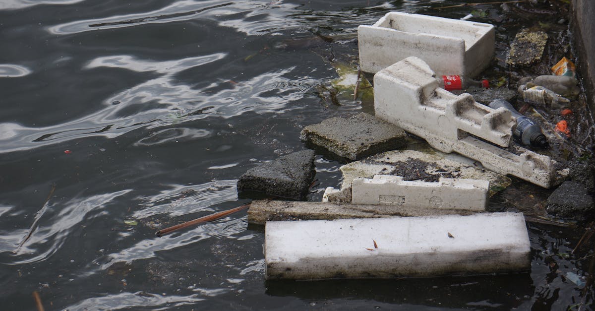 découvrez l'importance de la qualité de l'eau, les méthodes d'analyse, les facteurs influençant la pureté et les conseils pratiques pour garantir une eau saine au quotidien.