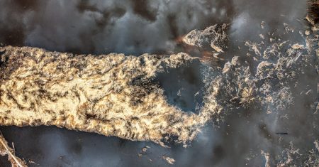 découvrez tout ce qu'il faut savoir sur la qualité de l'eau : analyses, facteurs de pollution, normes en vigueur et conseils pour préserver une eau saine et propre au quotidien.