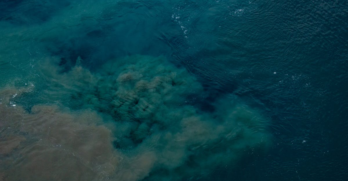 découvrez l'importance de la qualité de l'eau, ses critères d'évaluation, les méthodes d'analyse et ses impacts sur la santé et l'environnement.