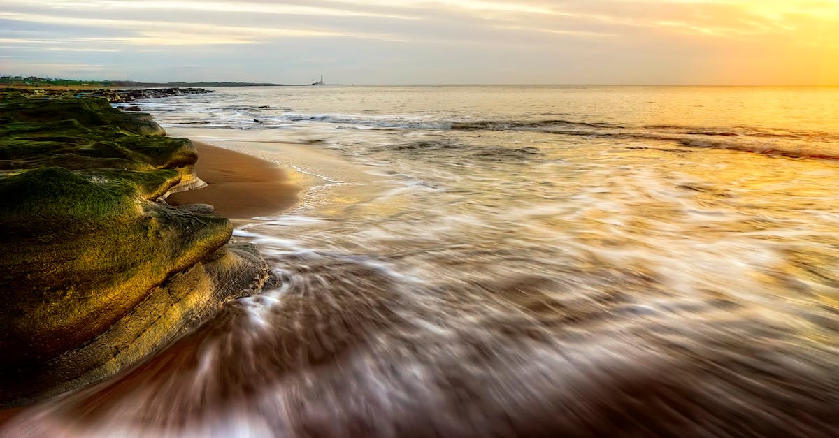 découvrez tout ce qu’il faut savoir sur les watts : définition, utilisation, comment mesurer la puissance électrique et conseils pour bien choisir vos appareils électriques.