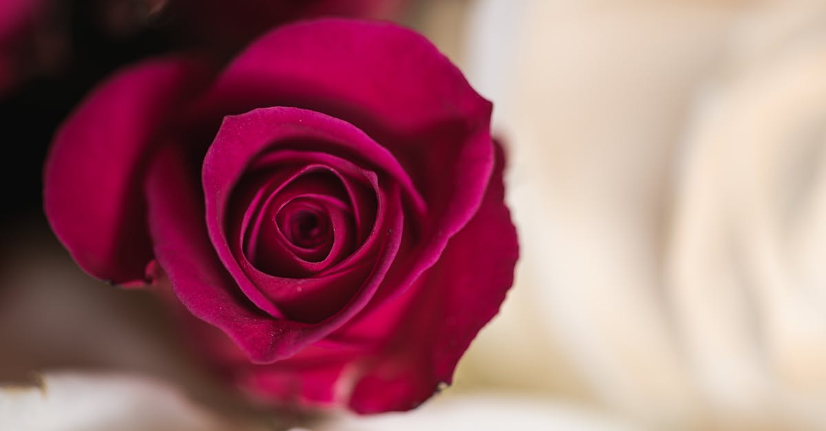 découvrez nos idées originales et raffinées pour choisir le cadeau de mariage parfait et faire plaisir aux jeunes mariés à coup sûr !