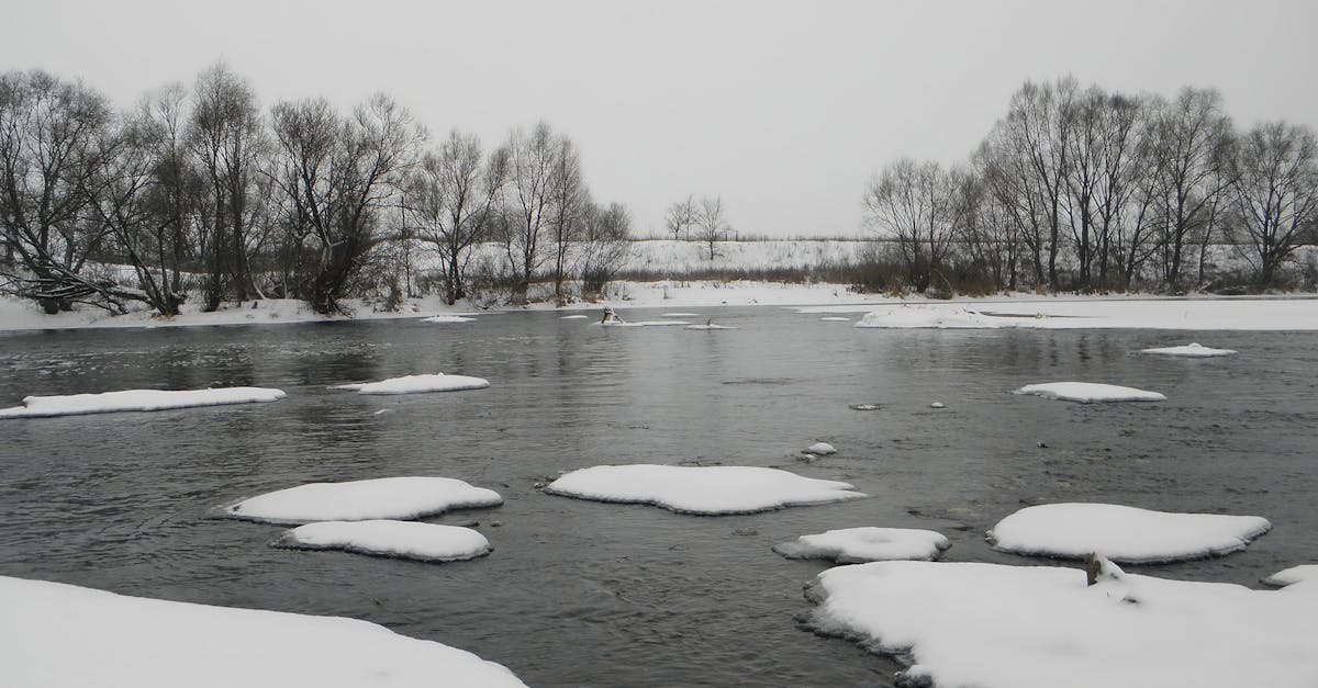 découvrez quoi faire si votre compte bancaire est gelé : raisons courantes, démarches à suivre et conseils pour débloquer rapidement votre argent en toute sécurité.