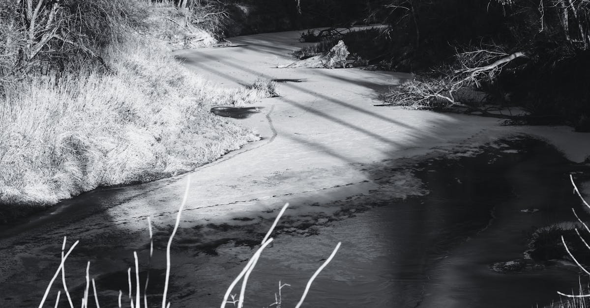 découvrez les raisons pour lesquelles un compte bancaire peut être gelé, les démarches à suivre pour débloquer votre compte et vos droits en cas de compte bancaire bloqué.