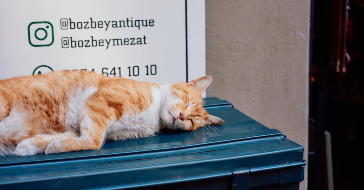 trouvez toutes les informations de contact dont vous avez besoin : adresses, numéros de téléphone et e-mails pour prendre facilement contact avec notre équipe ou notre service clientèle.