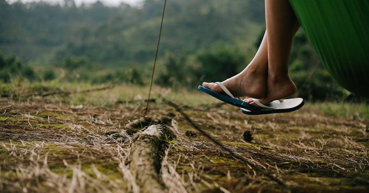 découvrez toutes les informations, astuces et ressources gratuites sur free : offres, actualités, conseils et bons plans pour profiter au mieux des services free.