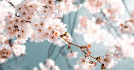 découvrez tout ce qu'il faut savoir sur le sujet 'free' : astuces, conseils et informations essentielles pour profiter pleinement des offres et services gratuits en ligne.