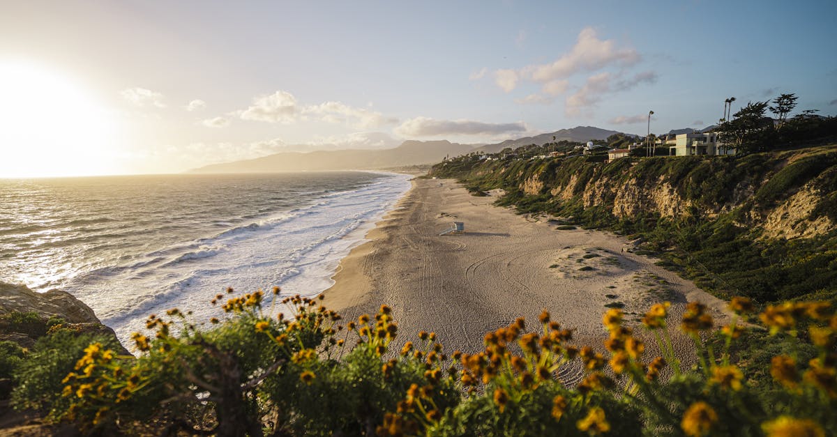 découvrez hello bank, la banque en ligne simple, pratique et 100% mobile. profitez de services bancaires innovants, d’offres avantageuses et d’une gestion de compte sécurisée depuis votre smartphone.