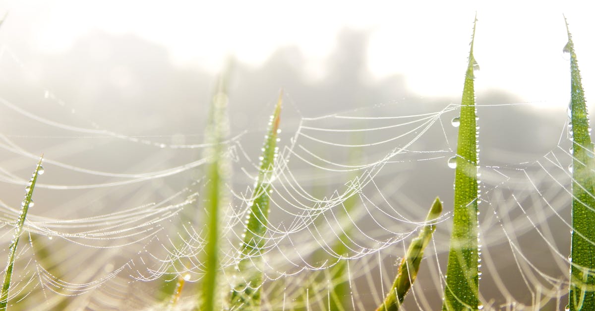 découvrez tout sur les réseaux informatiques : fonctionnement, types de réseaux, avantages, sécurité et conseils pour optimiser votre infrastructure et connecter vos appareils efficacement.