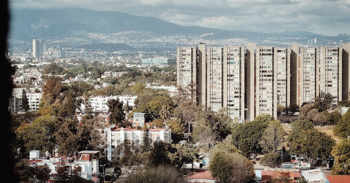 découvrez nos plans résidentiels conçus pour répondre à tous vos besoins en matière de construction de maison. profitez de solutions personnalisées, efficaces et modernes pour votre futur projet immobilier.