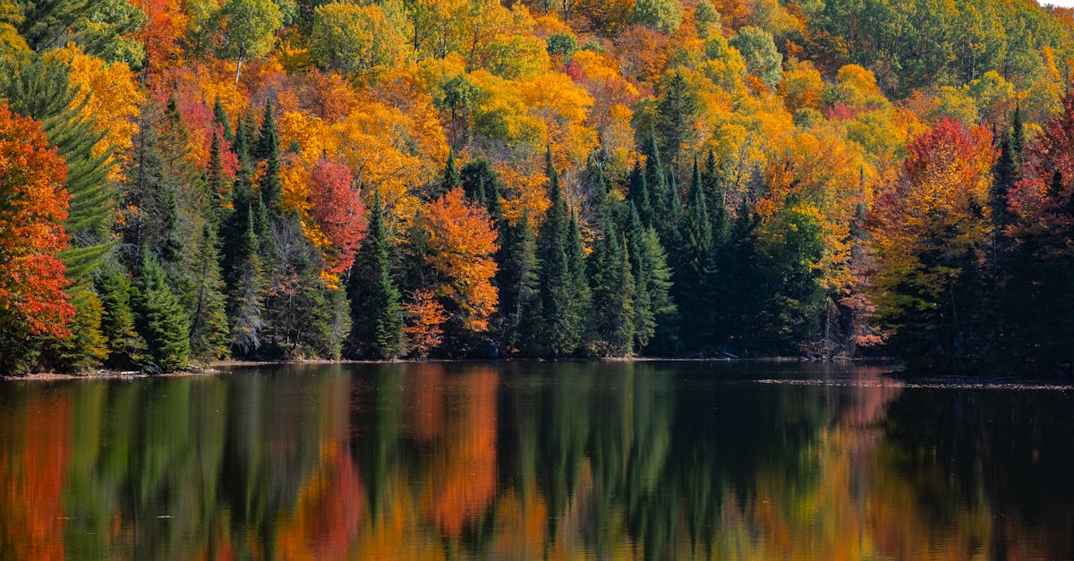 découvrez la durée de vie moyenne d’un chauffe-eau, les facteurs qui l’influencent et des conseils pour prolonger son efficacité et éviter les pannes.