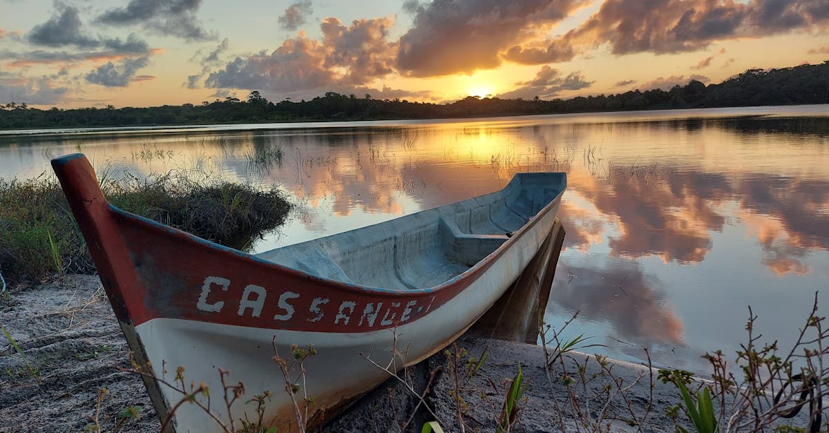 découvrez la durée de vie moyenne d’un chauffe-eau, les facteurs qui l’influencent et les conseils pour prolonger sa longévité. informez-vous avant de remplacer ou d’entretenir votre appareil.