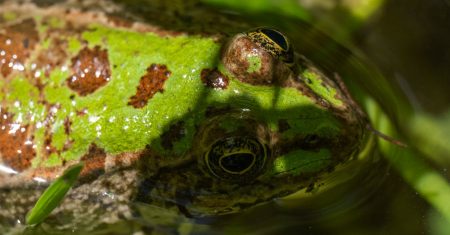 découvrez la durée de vie moyenne d’un chauffe-eau, les facteurs qui influencent sa longévité et les conseils pour optimiser son fonctionnement et anticiper son remplacement.