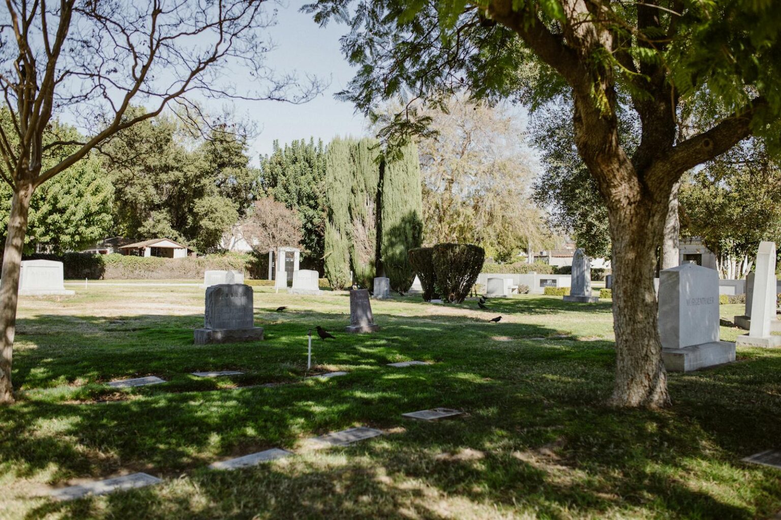 A serene cemetery landscape with gravestones, trees, and lush greenery under a bright day.