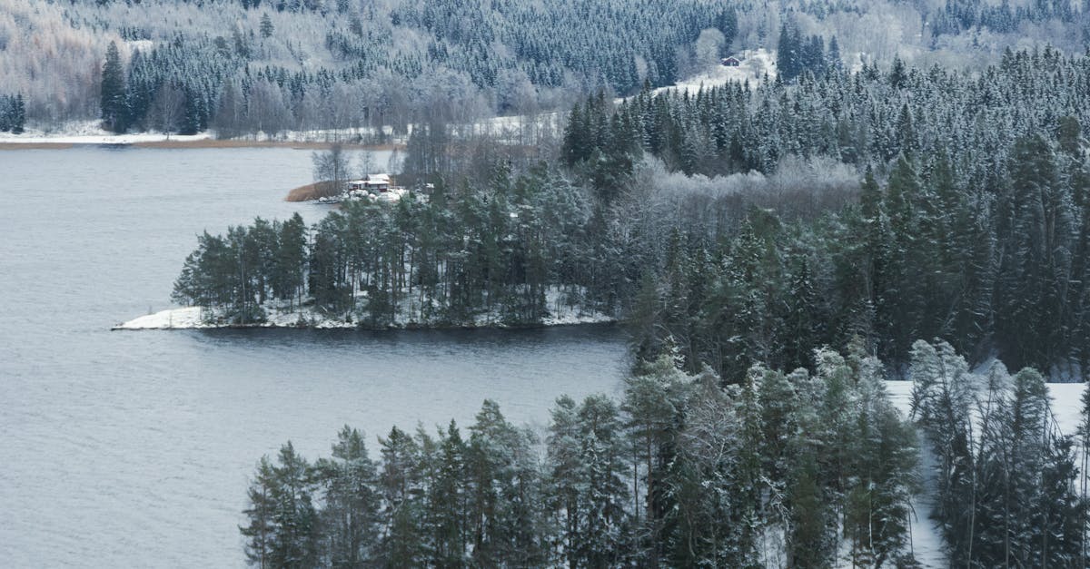 découvrez les tarifs enedis 2025 pour mieux comprendre vos coûts d'électricité et optimiser votre consommation. toutes les informations essentielles ici.