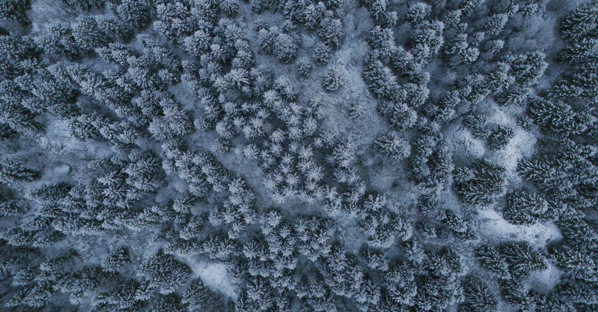 découvrez les tarifs enedis 2025, leurs évolutions et comment ils impactent votre facture d'électricité pour mieux gérer votre consommation.