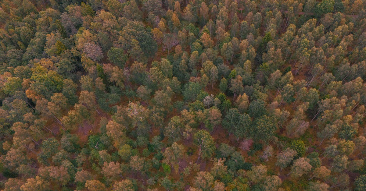 découvrez les tarifs d'électricité d'enercoop pour août 2025 et profitez d'une énergie 100% renouvelable à un prix compétitif.