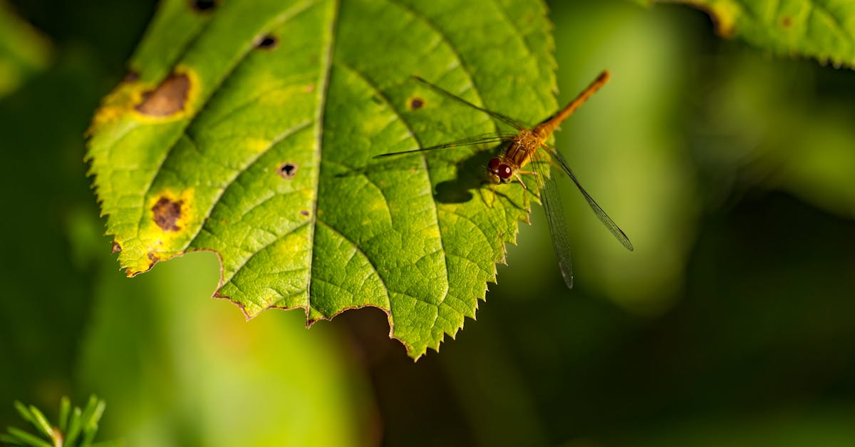 découvrez les tarifs d'électricité d'enercoop pour août 2025 et profitez d'une énergie verte et responsable à des prix compétitifs.